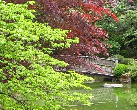 Japanese Spokane here