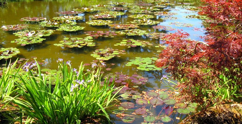 ...as are the botanical gardens at nearby Shore Acres