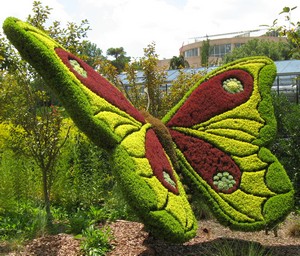 Atlanta Botanical Garden