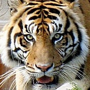 More pun at Zoo Miami